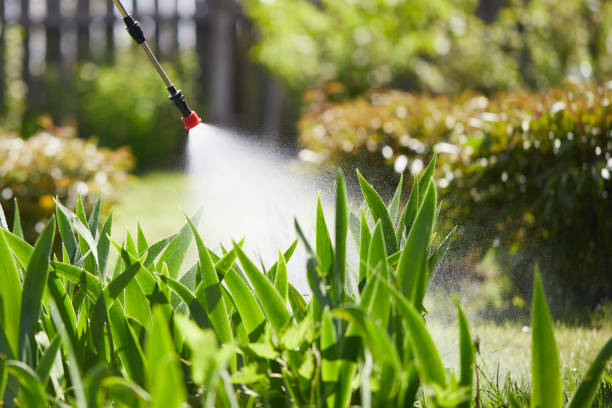 Tamper-Resistant Bait Stations for Rodents in Mansfield Center