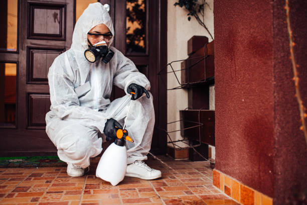 Attic and Crawl Space Rodent Treatment in Mansfield Center