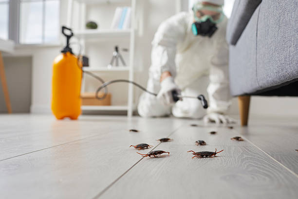 Commercial Rodent Management in Mansfield Center